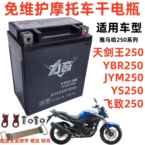 雅马哈250飞致250天剑王250电池