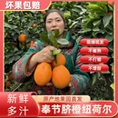 奉节脐橙正宗产地直发手剥9斤 老人孕妇水果甜橙 5斤橙子新鲜当季