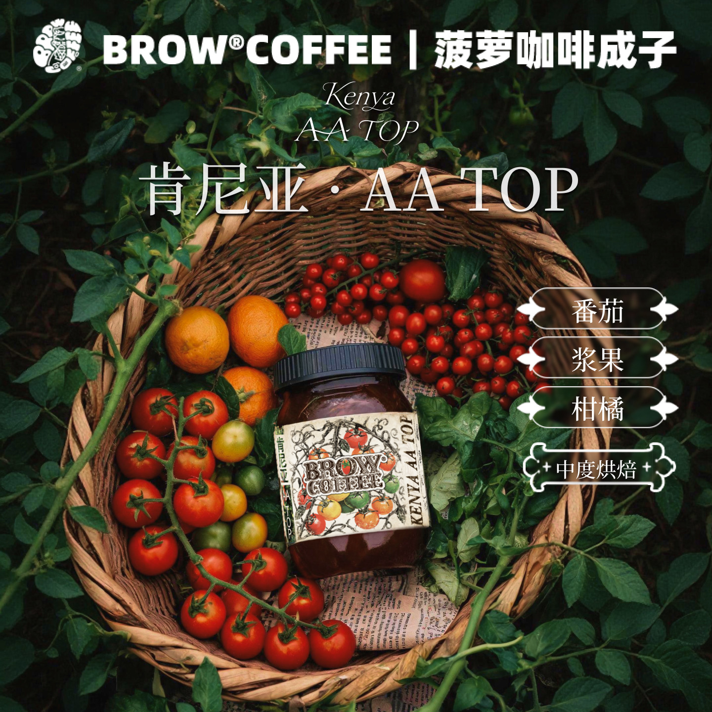 菠萝咖啡成子肯尼亚AATOP咖啡豆水洗中度烘焙精品手冲冷萃120g
