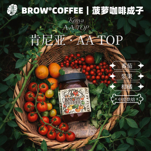 菠萝咖啡成子肯尼亚AATOP咖啡豆水洗中度烘焙精品手冲冷萃120g