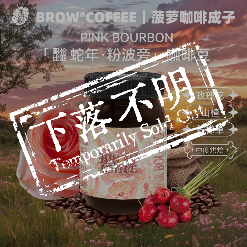 【已售罄】菠萝咖啡成子哥伦比亚蛇年粉波旁咖啡水洗中度烘焙手冲