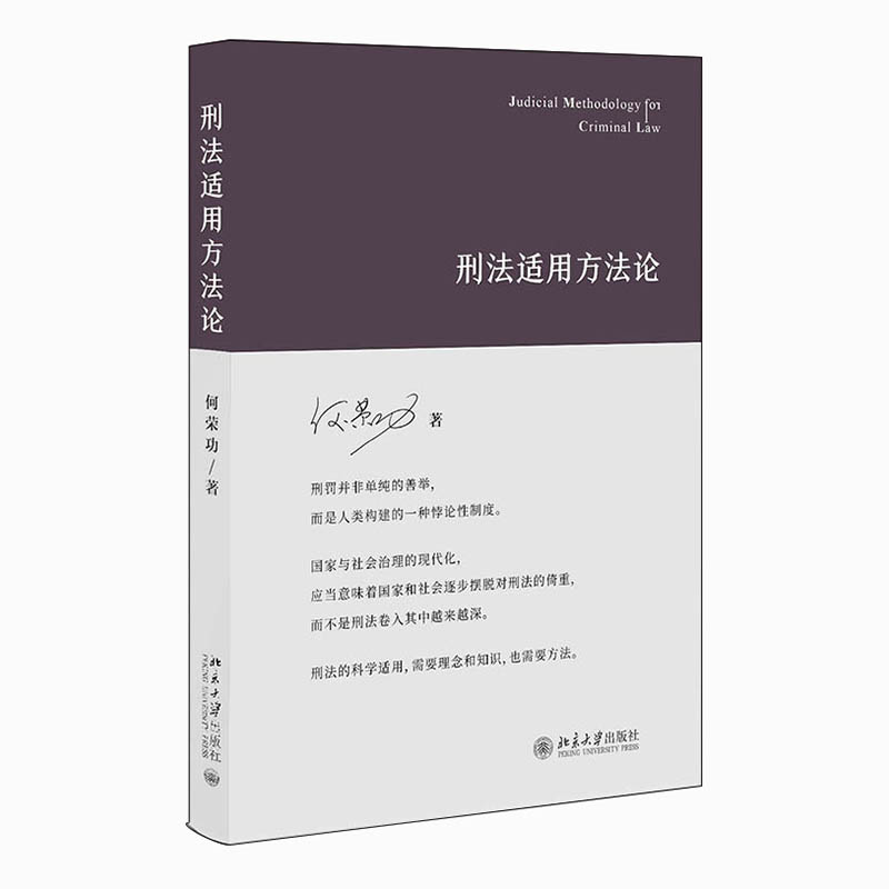 刑法适用方法论案例实务办案