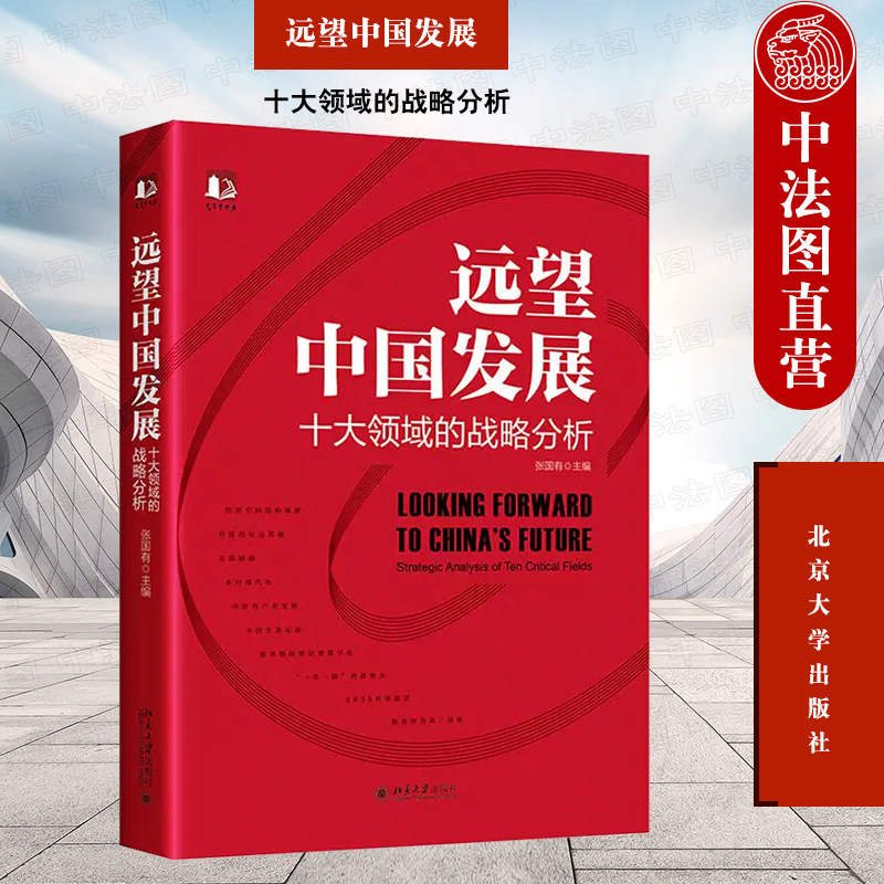 中法图正版 远望中国发展 十大领域的战略分析 张国有 北京大学 经济空间结构调整科技高端制造乡村现代化中医药产业发展中国生态