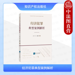 经济犯罪典型案例解析 社 沙莎 知识产权出版 9787513094740 王建聪 正版