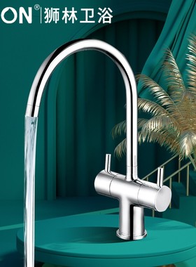 狮林全黄铜欧式双把厨房水龙头冷热双开洗菜盆洗碗盆水槽龙头创意