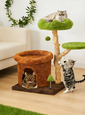 猫爬架家用树洞实木猫爬架猫窝猫树一体四季通用不占地保暖猫窝