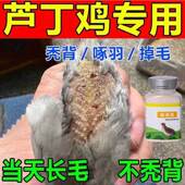 芦丁鸡啄毛预防鸟啄羽啄肛啄蛋止啄止咬灵鸡鸭鹅鸟不叨架啄羽灵