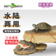 REPTIZOO陆乌龟缸晒台躲避洞天然石爬台浮岛蜥蜴守宫沙漠岩石晒台