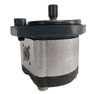 AZPF-11-008RRR20KB-S0081 Hydraulic Gear Pump Construction M