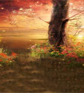 901.21 121L4 -800±80 / -750±80 mbar - schwarz_欧洲 原