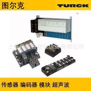 100010522Turck图尔克REI-12H12E-4B1024-H1181编码器