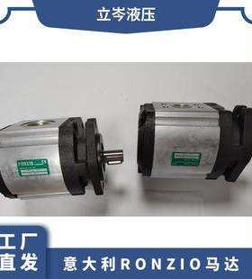意大利RONZIO罗茨同步马达FDRA020063WVR270DMC 齿轮泵