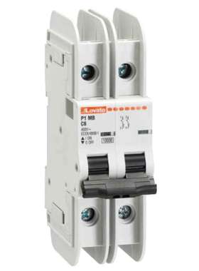 Lovato P1MBUH2PC10 洛瓦托 MCB 2P 10A 曲线 C 400V 交流 125V