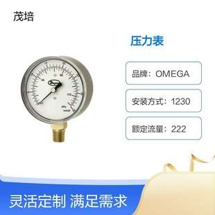 LPG4-D8722N LPG4-D8922N LPG4-D9022N LPG4-D922N压力表Dwyer