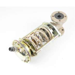 Samson Typ 2417 Druckminderer Ventil  Samson Typ 2413 Rollm