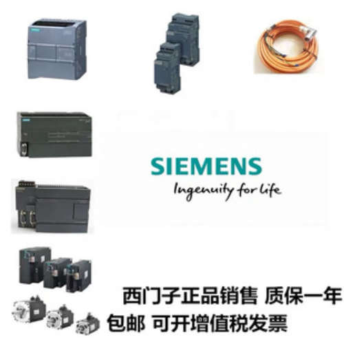 CSIS74AA00MA93TI0AA0电缆73ES3006碳钢项西门的