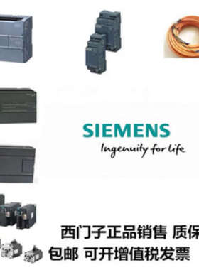 CSIS74AA00MA93TI0AA0电缆73ES3006碳钢项西门的