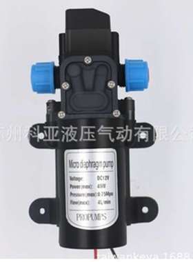 PROPUMPS自吸水泵45W DC12/24V PRO PUMPS XTL-3210 100W 80W 60W