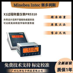 Minebea Intec赛多利斯X2面板式过程称重仪表PR5310/60 PR5310/61