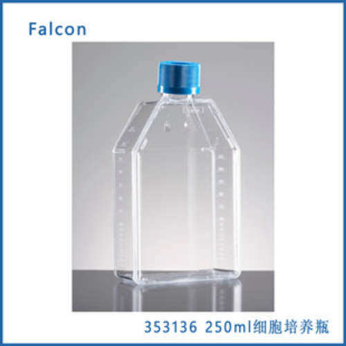 Falcon 353136 250ml斜颈75cm2矩形斜颈TC 细胞培养瓶 带通风