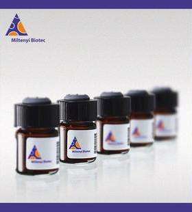 130-094-530美天旎磁珠分选产品Anti-SSEA-1 CD15 MicroBeads