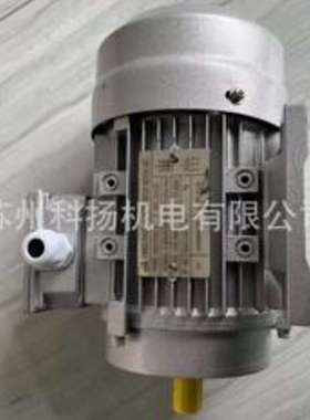 THREE-PHASE ASYNCHRONOUS MOTOR电机YE3-71M2-4 0 37KW 380V