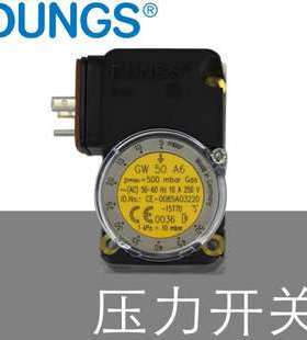 DUNGS压力开关 GW3A6 Pmax=500mbar Gas 燃气燃烧器专用 德