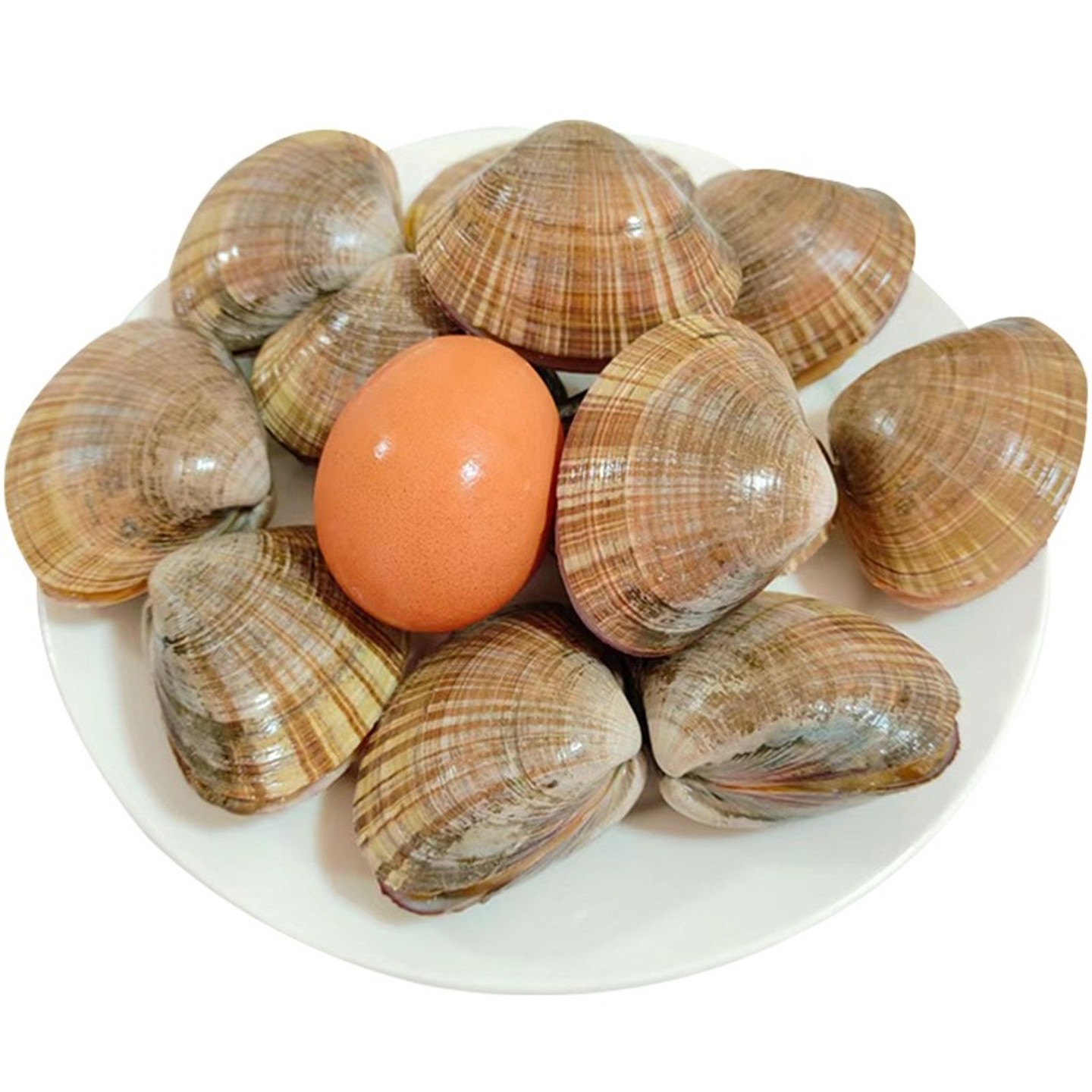 500g 北京闪送丹东特产文贝黄金贝 鲜活海鲜水产肉肥大黄蚬子蛤蜊,水产肉类/新鲜蔬果/熟食,贝类制品,淘宝优惠券,粉丝福利购,淘宝优惠卷