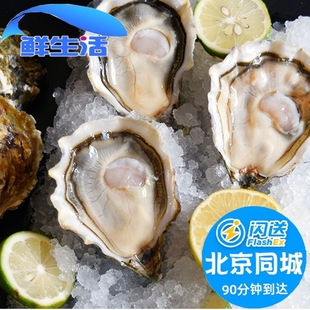 北京闪送 法国白钻生蚝进口 鲜活可生食刺身非吉娜朵 3只起拍