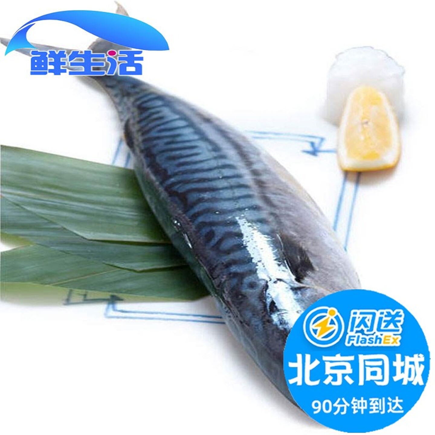 北京闪送 挪威青花鱼 冰鲜急冻 青占鱼 新鲜海鱼醋青鱼1-2条500g
