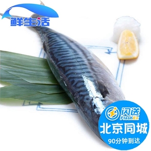 北京闪送 挪威青花鱼 冰鲜急冻 青占鱼 新鲜海鱼醋青鱼1-2条500g