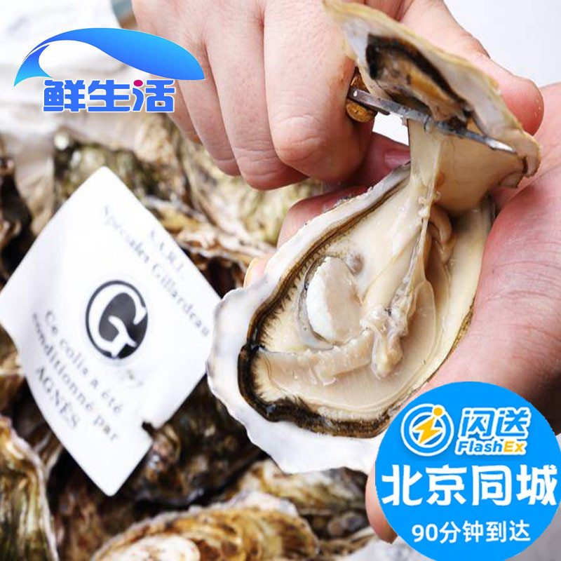 进口法国生蚝吉娜朵 12只n2 n1 n0 鲜活牡蛎当 送生蚝刀 非吉拉多