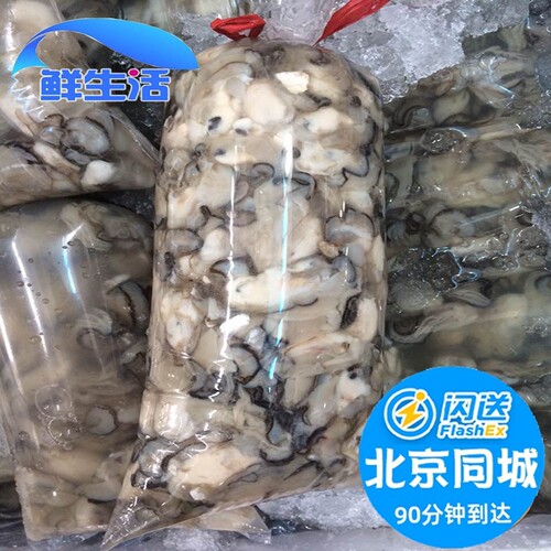 新鲜正宗现捞海蛎子肉