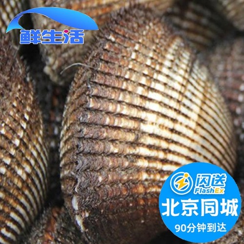 鲜活贝类野生血蛤500g海鲜