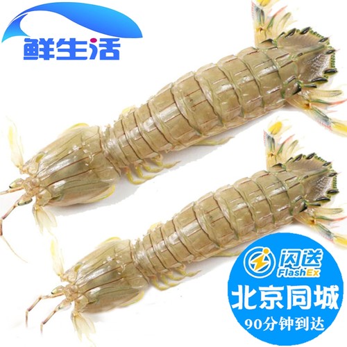 活虾个大肉肥鲜活皮皮虾虾爬子