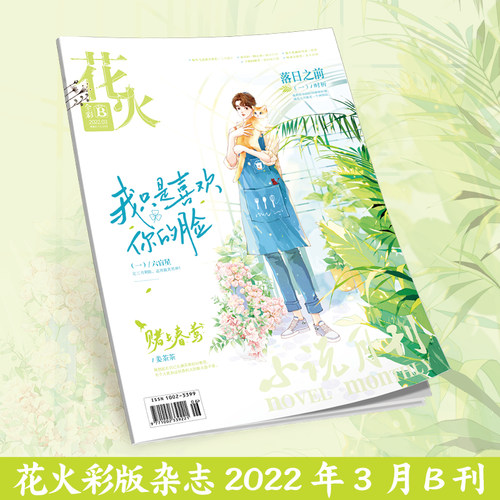 花火杂志