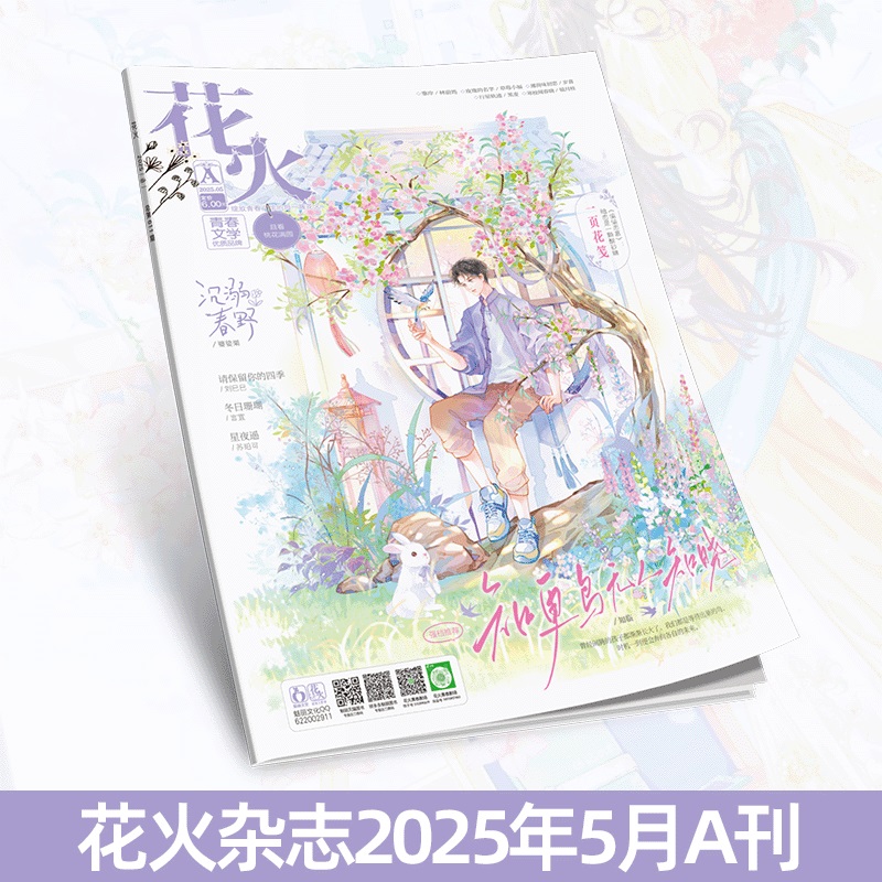 花火杂志2505A期青春文学短篇