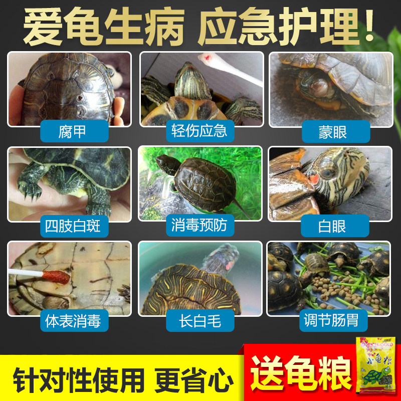 乌龟通用白眼专用护理治疗巴西龟肺炎腐甲聚维酮碘非龟药腐皮烂甲