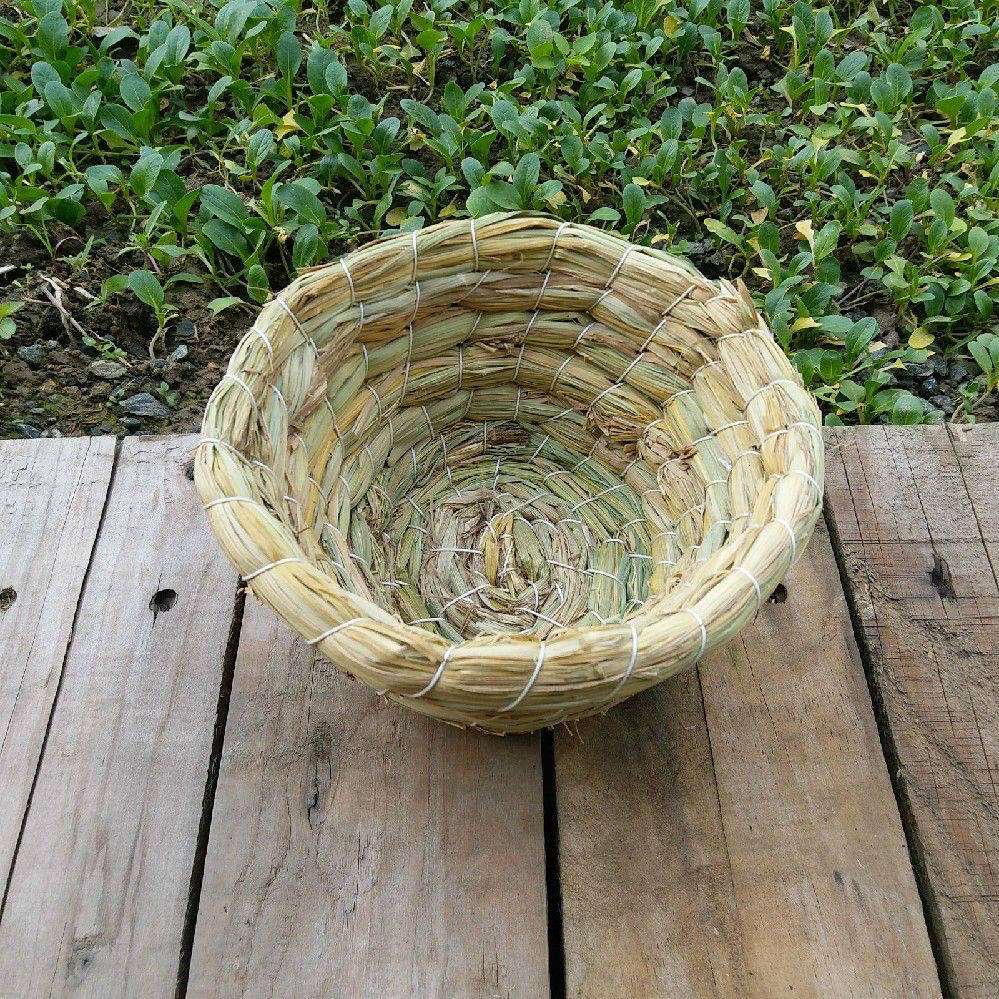 碗状鸟巢稻草窝芙蓉玉鸟文鸟金青鸟窝草编草窝小型鸟窝仓鼠窝过冬