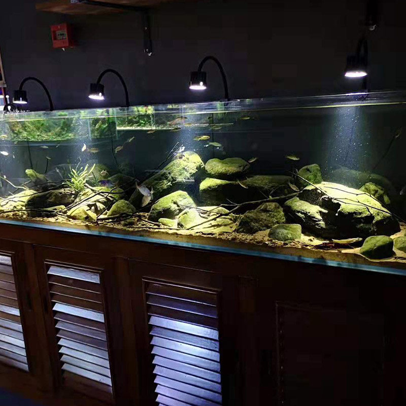 碧水风和led鱼缸射灯南美三湖原生水草缸射灯led聚光小型造景水族