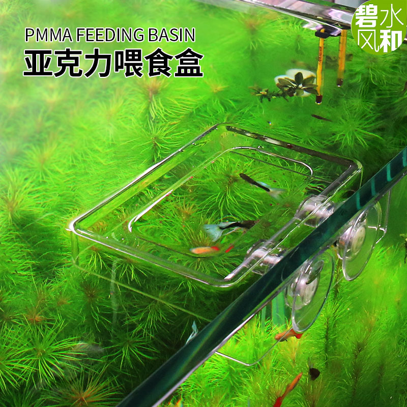 鱼缸亚克力喂食圈鱼食饲料