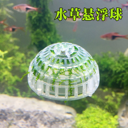 水草悬浮球水澡水晶虾活体悬浮小虾窝水晶球圣诞树沉水球造景装饰 - 封面