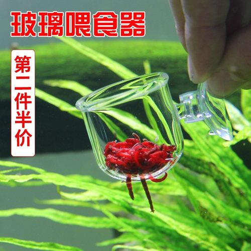 玻璃红虫喂食器鱼缸投食圈冻丰年虾赤虫投喂鱼漂浮杯小型神器透明 - 封面