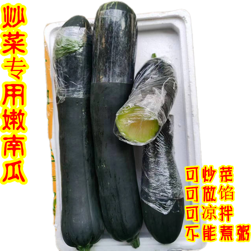 嫩南瓜新鲜蔬菜炒菜南瓜青皮南瓜牛腿长南瓜青倭瓜嫩倭瓜现摘整箱