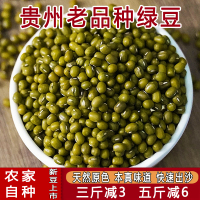 绿豆小绿豆农家毛绿豆五谷杂粮新鲜新货贵州特产老品种绿豆子500g