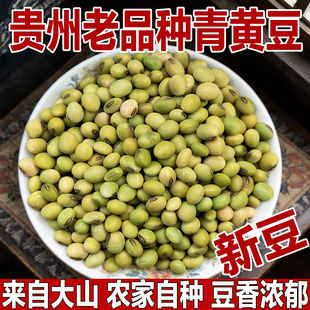 黄豆打豆浆专用农家自种非转基因本地大老黄豆粒老品种绿皮青黄豆