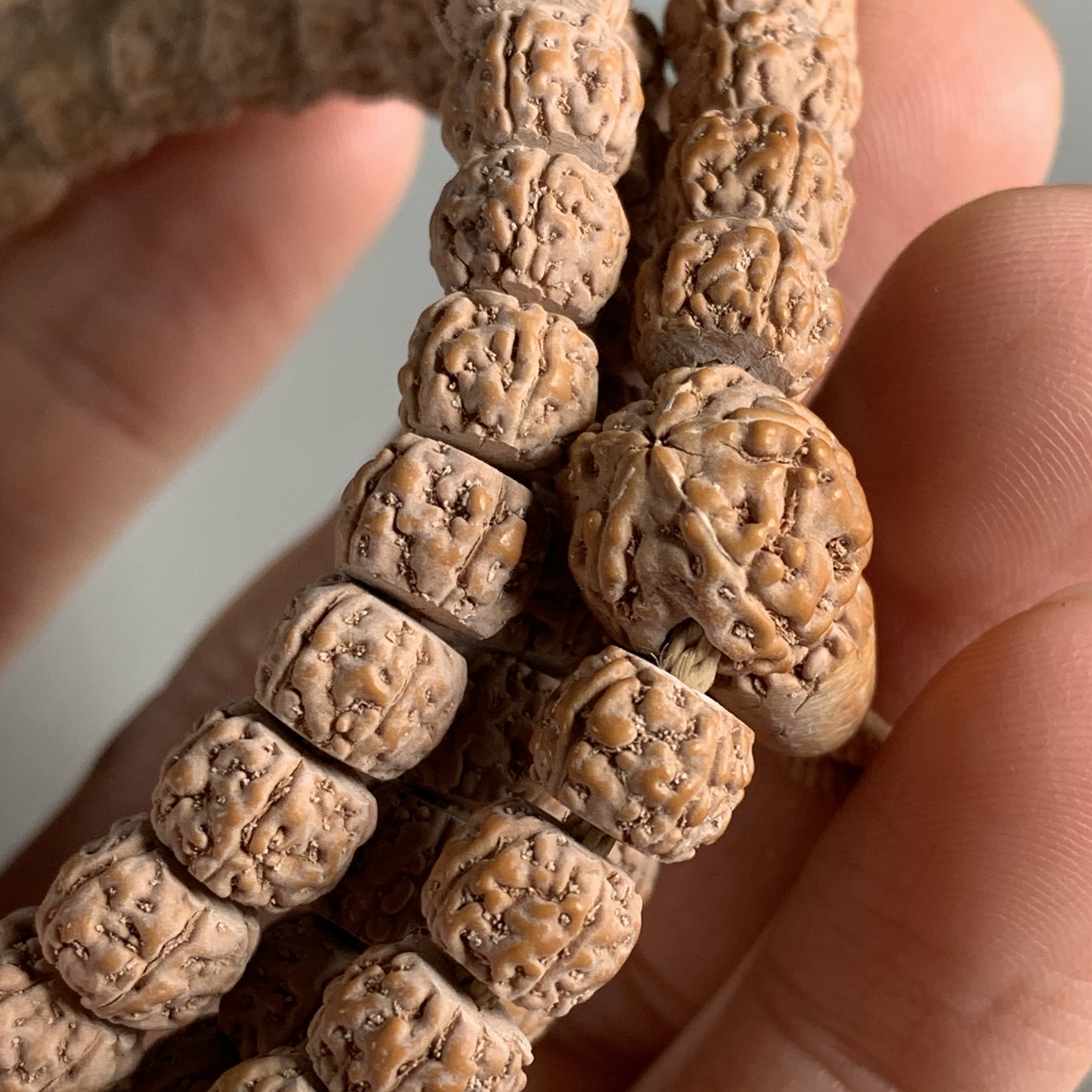 一代盘龙纹小金刚一代龙一代盘龙小金刚盘龙纹小金刚老一代盘龙纹,饰品/流行首饰/时尚饰品新,菩提,淘宝优惠券,粉丝福利购,淘宝优惠卷