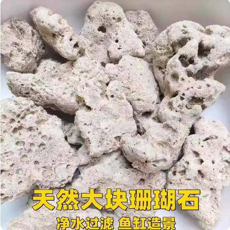 珊瑚骨鱼池海鲜池水产生养殖滤材
