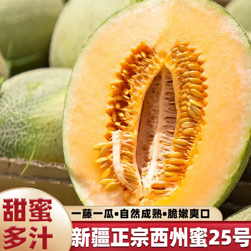 新疆吐鲁番哈密瓜当季新鲜水果正宗西州蜜25号现摘现发网纹甜瓜