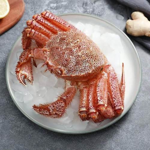 生冻俄罗斯红毛蟹海鲜螃蟹